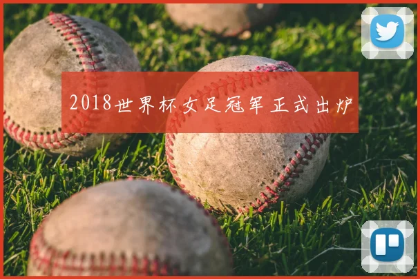 2018世界杯女足冠军正式出炉