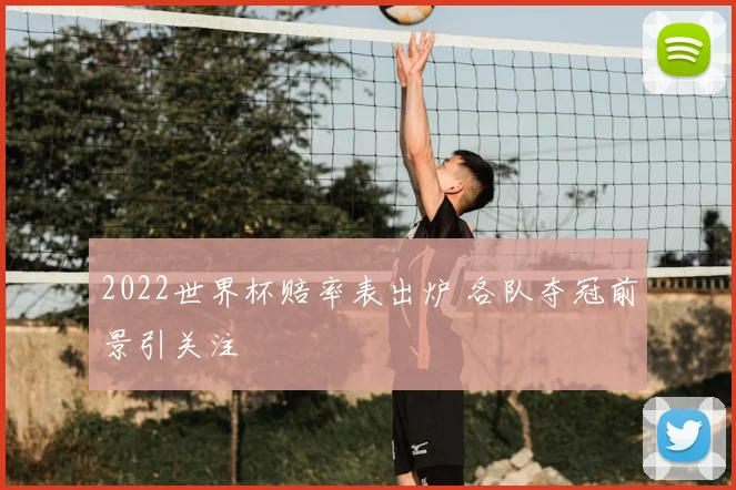 2022世界杯赔率表出炉 各队夺冠前景引关注
