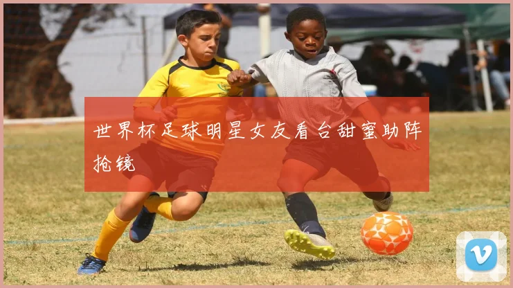 世界杯足球明星女友看台甜蜜助阵抢镜