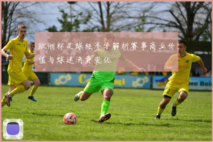 欧洲杯足球经济学解析赛事商业价值与球迷消费变化