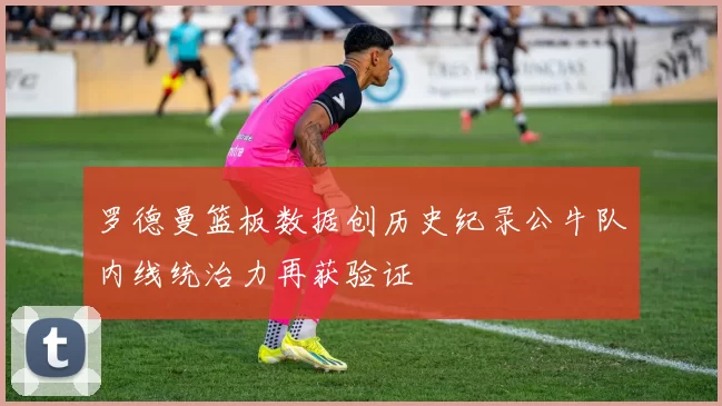 罗德曼篮板数据创历史纪录公牛队内线统治力再获验证