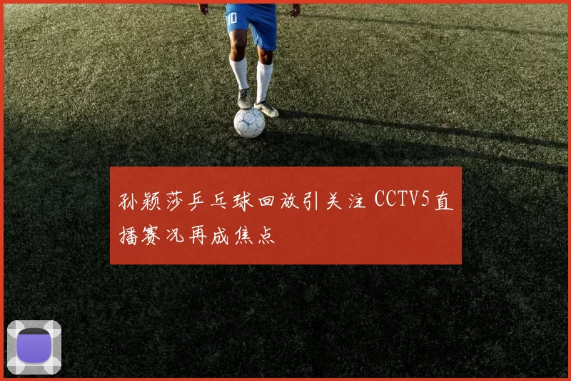 孙颖莎乒乓球回放引关注 CCTV5直播赛况再成焦点