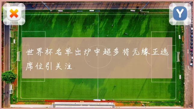 世界杯名单出炉中超多将无缘正选席位引关注