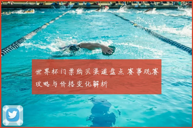 世界杯门票购买渠道盘点 赛事观赛攻略与价格变化解析