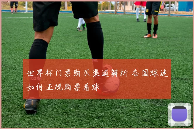 世界杯门票购买渠道解析 各国球迷如何正规购票看球